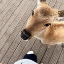 萍乡旅游 缩略图 6