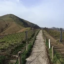 萍乡旅游 缩略图 2