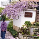 武汉旅游 缩略图 6