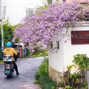 武汉旅游 缩略图 8