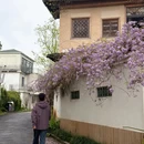 武汉旅游 缩略图 9