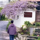 武汉旅游 缩略图 4
