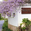 武汉旅游 缩略图 1
