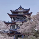 无锡旅游 缩略图 1