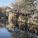 无锡旅游 缩略图 4