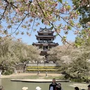 无锡旅游 缩略图 1
