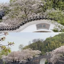 无锡旅游 缩略图 12