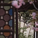 苏州旅游 缩略图 8