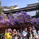 苏州旅游 缩略图 9