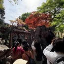 苏州旅游 缩略图 10