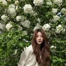 西安旅游 缩略图 8