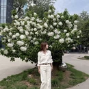 西安旅游 缩略图 9
