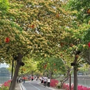 惠州旅游 缩略图 1