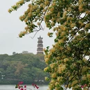 惠州旅游 缩略图 2
