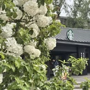西安旅游 缩略图 16