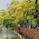 惠州旅游 缩略图 11