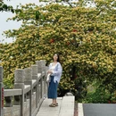 惠州旅游 缩略图 10