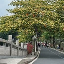 惠州旅游 缩略图 4