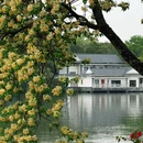 惠州旅游 缩略图 9
