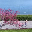 北京旅游 缩略图 2