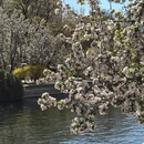 北京旅游 缩略图 3