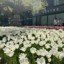 北京旅游 缩略图 1