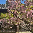 苏州旅游 缩略图 1