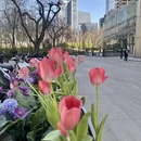 北京旅游 缩略图 5