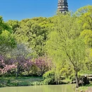 苏州旅游 缩略图 9