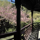 苏州旅游 缩略图 6