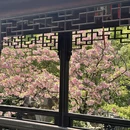 苏州旅游 缩略图 2