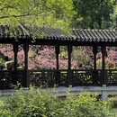 苏州旅游 缩略图 11