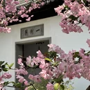 苏州旅游 缩略图 12