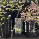 苏州旅游 缩略图 15