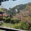 苏州旅游 缩略图 14