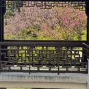 苏州旅游 缩略图 13