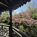 苏州旅游 缩略图 5