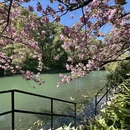 苏州旅游 缩略图 18