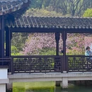 苏州旅游 缩略图 17