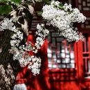 北京旅游 缩略图 2