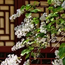 北京旅游 缩略图 8