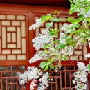 北京旅游 缩略图 10