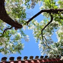 北京旅游 缩略图 4