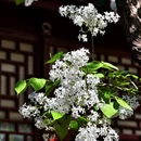 北京旅游 缩略图 7