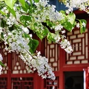 北京旅游 缩略图 11