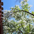 北京旅游 缩略图 5