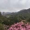 黄山旅游 缩略图 6