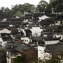 黄山旅游 缩略图 7