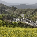 黄山旅游 缩略图 4