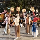 黄山旅游 缩略图 12